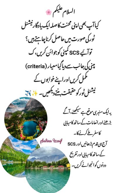 work without investment