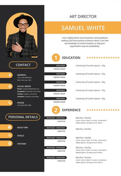 professional CV / resume designer