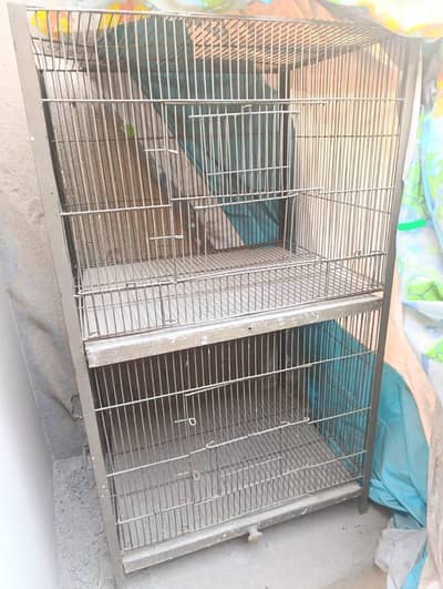 birds Cage