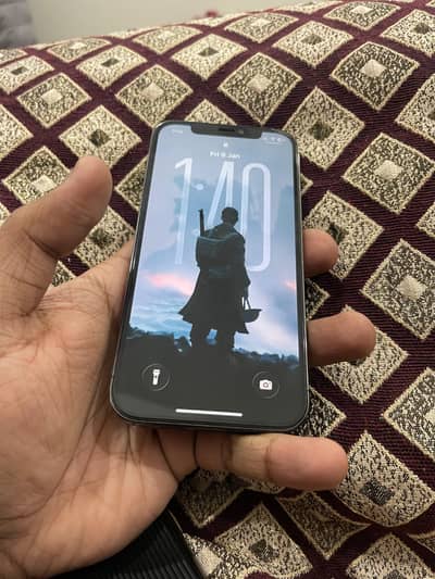 Iphone 12 pro pta approved