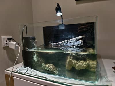 AQUARIUM || FİSH TANK || Luxury Aquarium|| Fancy Aquarium