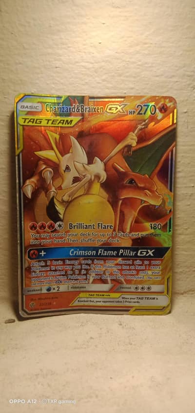 Charizard & Braixen