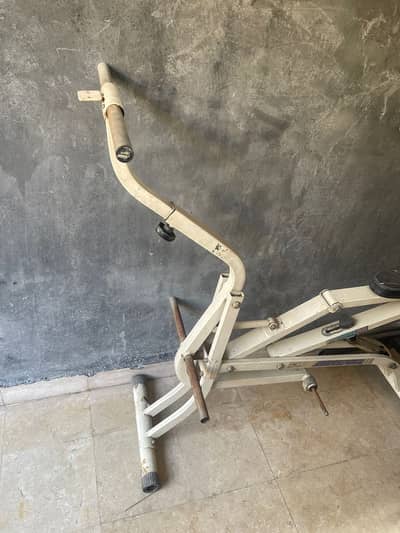 Seated Row Machine ( plate loaded)