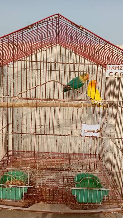 brider pair with cage