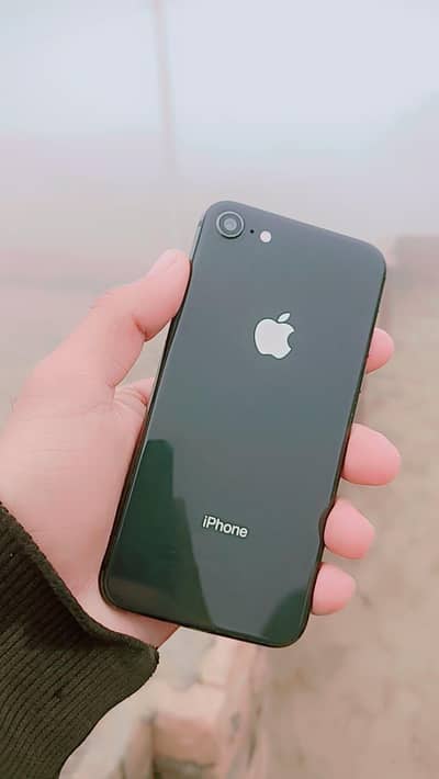 I Phone 8 Pta Approved