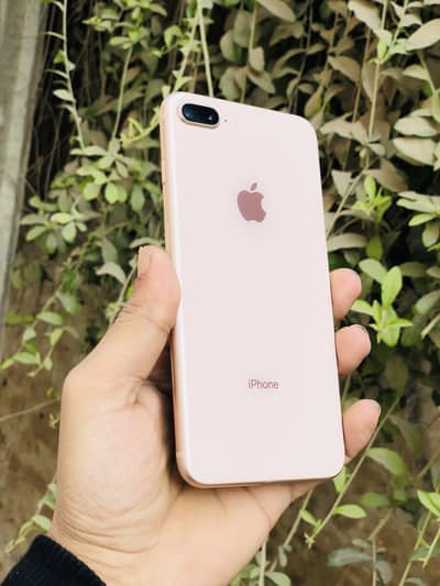 iPhone 8plus pta approve