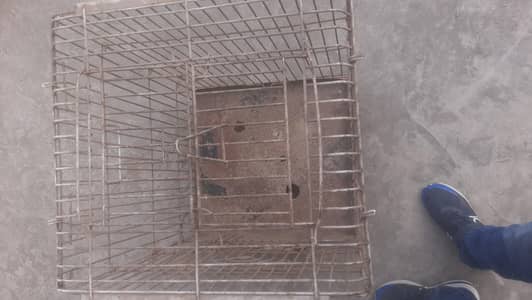 RAW parrot large iron Cage