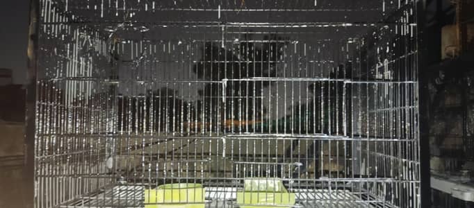 Full Size Cages For Birds/Parrots.