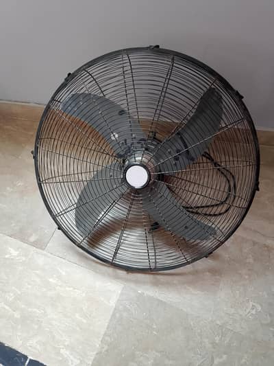 G. F. C fan large size