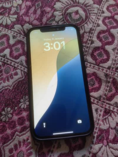 iphone 12 pta approved