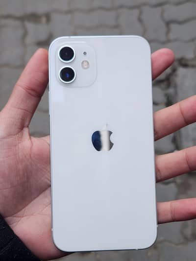 iPhone 12 Pta Approved