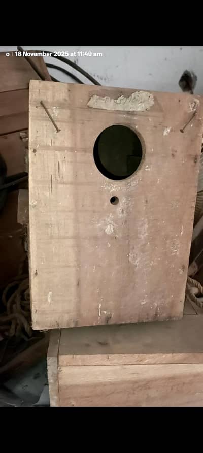 lovebirds breeding box