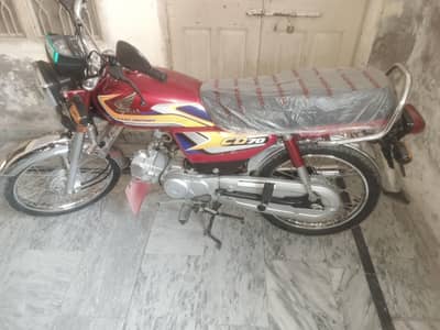 2024 / 2025. All panjab namber