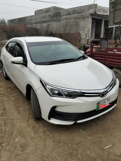 XLI 18/19 (03147096880)