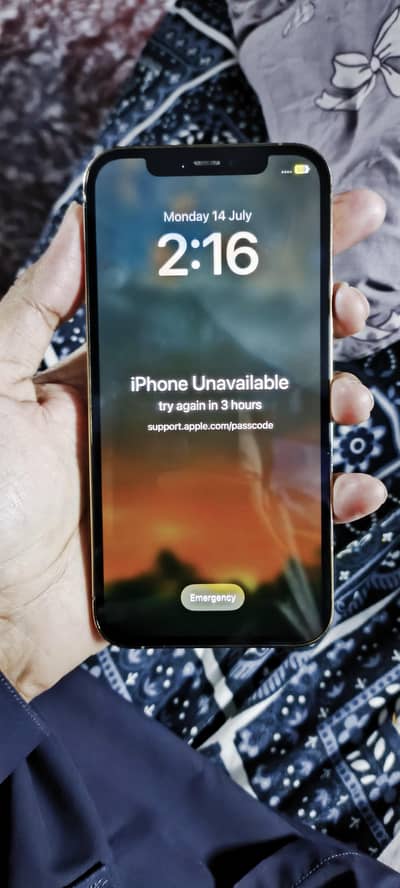 iphone 12 pro read discription