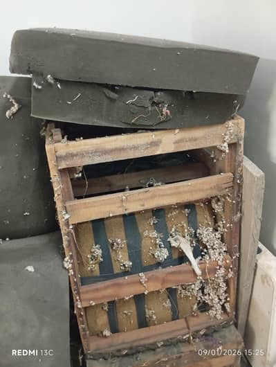 i want to sell the sofa structure, of 4 seats with foam