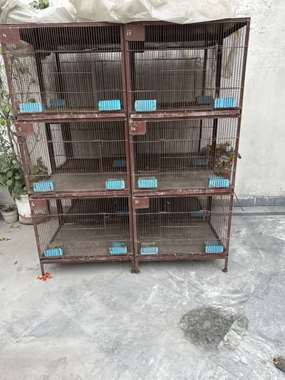 4 Cage For Sale