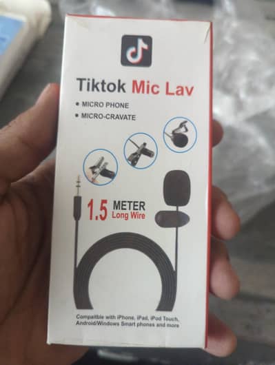 mini mic