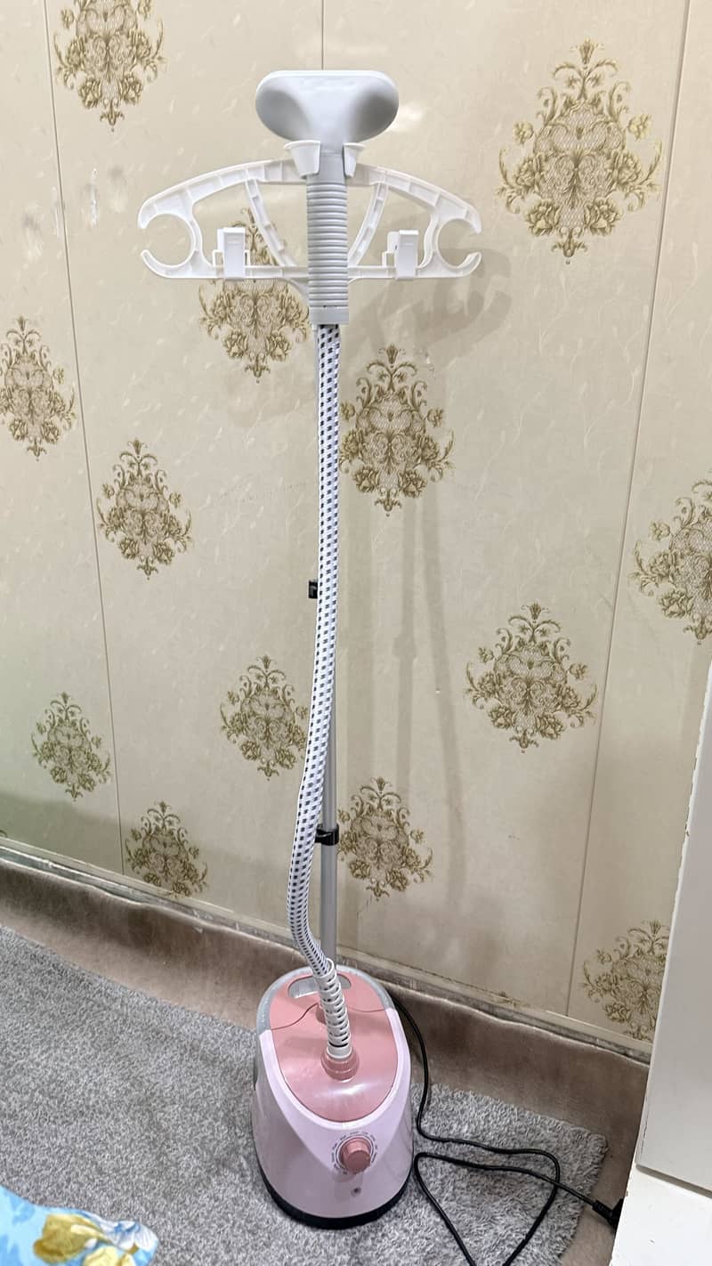 Steamer Iron 1