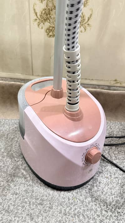 Steamer Iron