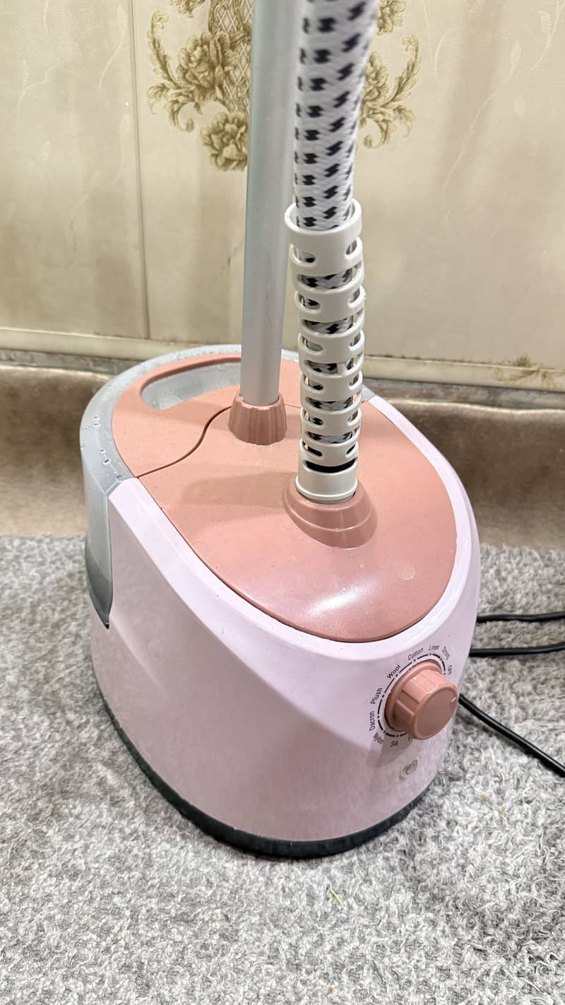 Steamer Iron 0