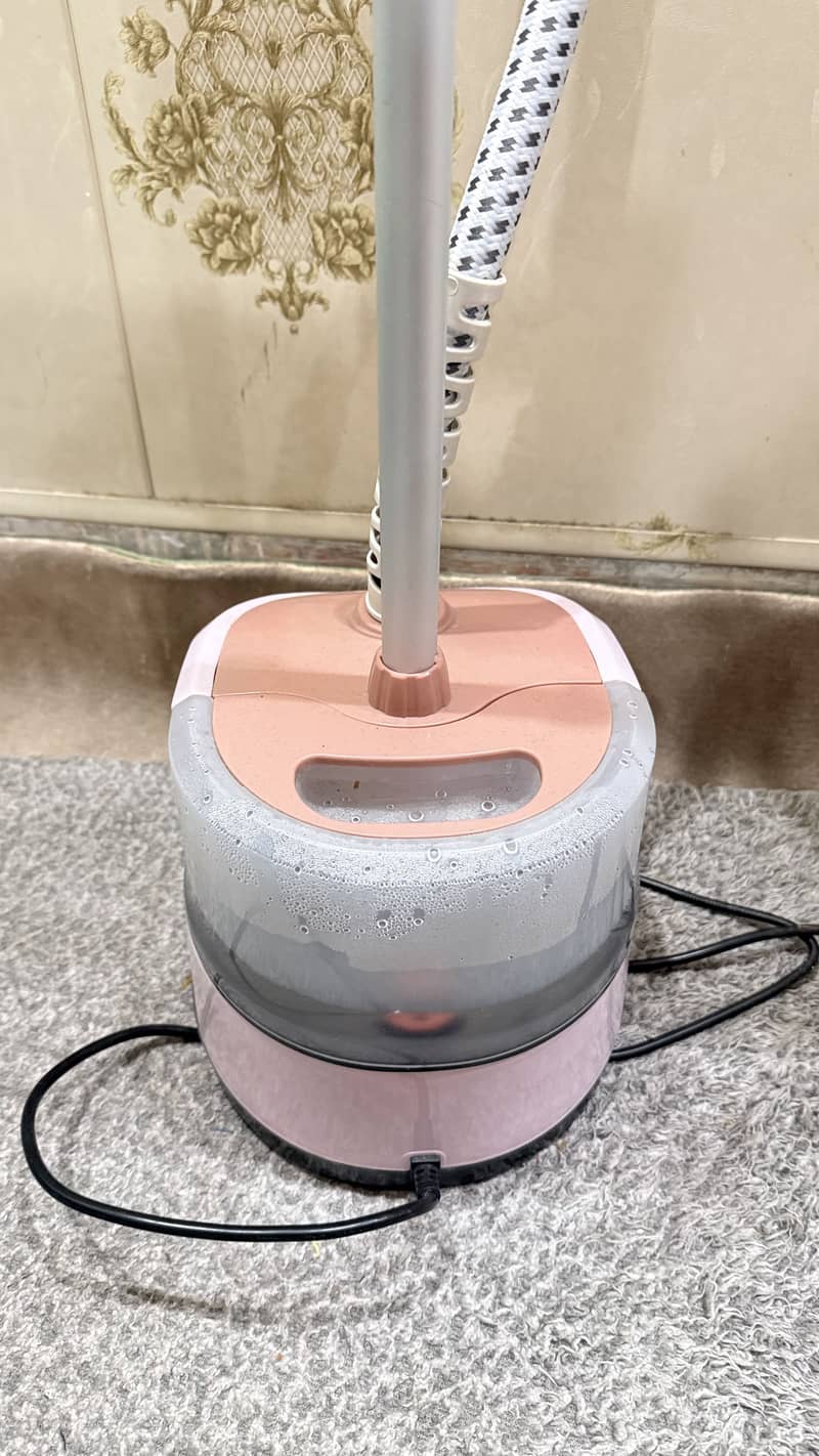Steamer Iron 4