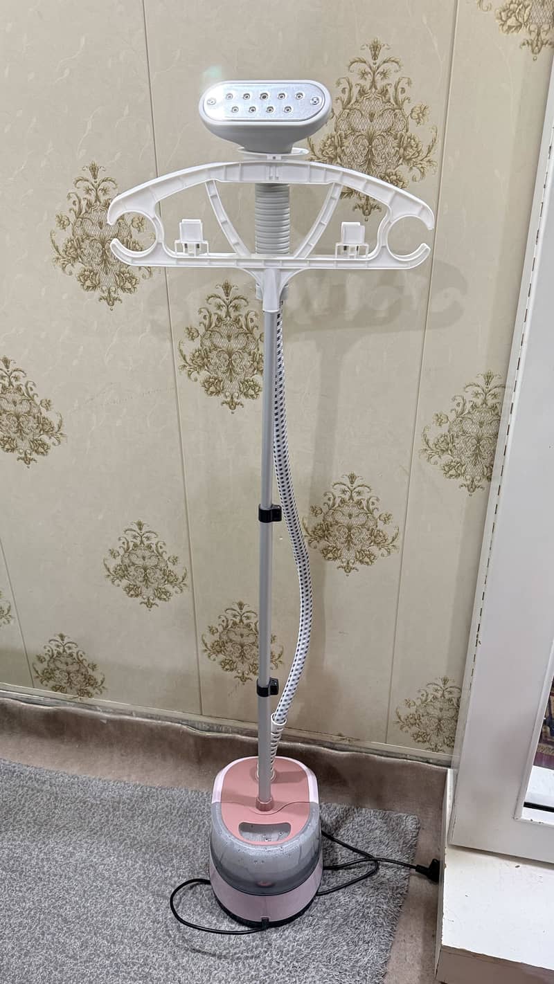 Steamer Iron 5