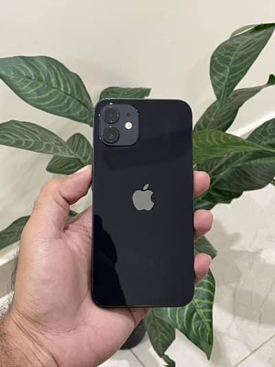 Iphone 12 PTA