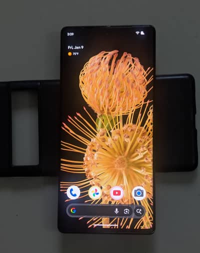 Google Pixel 6 Pro 12/128 GB