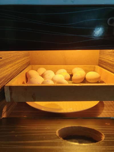 10 by 10 condition hai bhai q months use hai