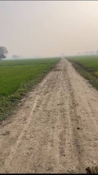 10 Acres Agricultural Land for Sale, Moza Chatiyawala, Bedian Road, kasur