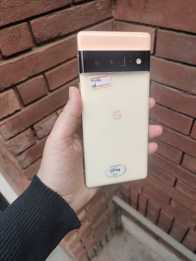 Google Pixel 6 Pro . . . OFFICIAL APPROVE. . WATERPACK