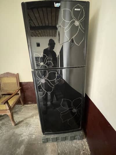 Orient  model 6047 GD LG FDBK  Conditions 10/6