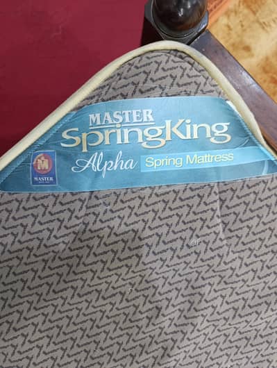 UrgentSale Master SpringMoltyFoam