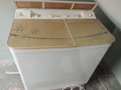 Twin tub washer and dryer