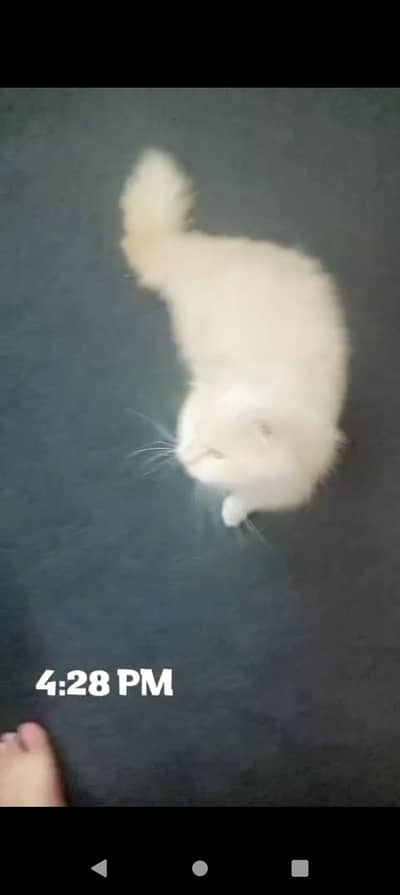 15 month ka ha full vaccinated