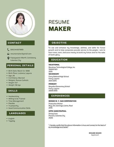 professional cv resume maker