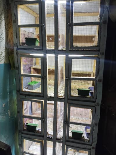 bilkul saf ha 8 khany wala cage ha[redacted phone number]03108158262