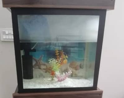 Aquarium Glass Water Tank 18 x 18 x 11.5