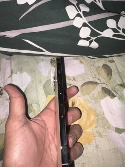 12 pro max 256gb gold