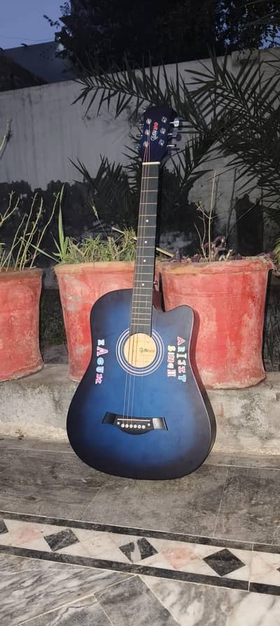 new used guitar