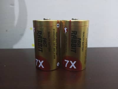 fast rabbit battrey 11'5 volt