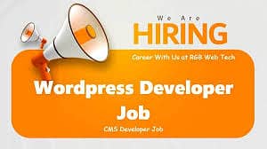 Junior Wordpress Developer in Faisalabad