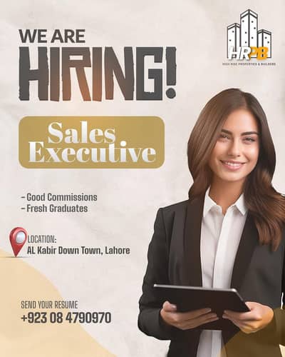 Real Estate Sales Executive