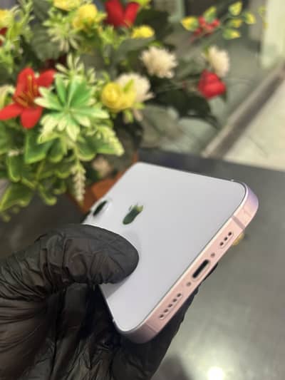 Eat the apple . run with apple