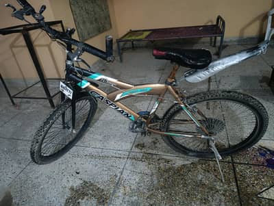 CASPIAN large size bicycle