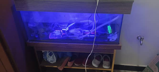 fish aquarium with shoes rack