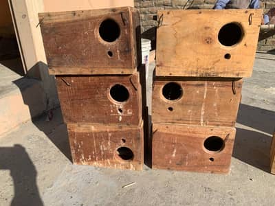 breeding box/ Love birds box
