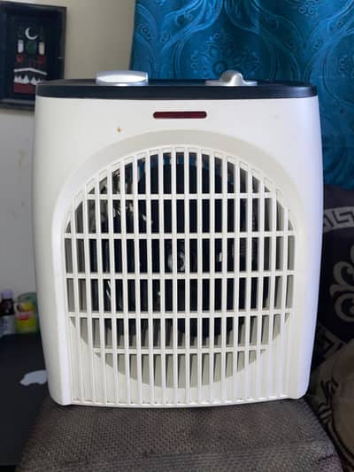 Electric Fan Heater.