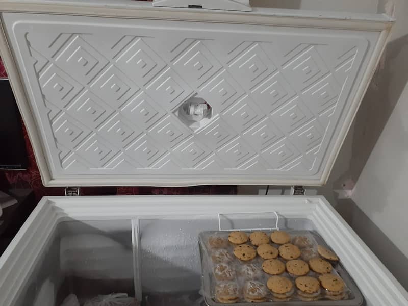 Waves deep freezer 2